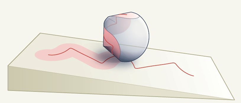 1wfe4n206yo3nidc2nlpyql5pnbywjbm.png 1wfe4n206yo3nidc2nlpyql5pnbywjbm.png