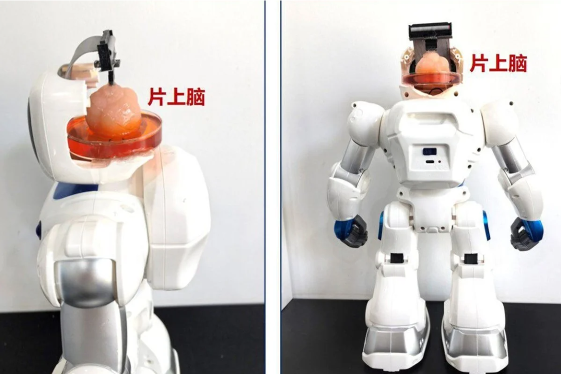 nGJJ_F5fk8Y674rMwpTa25E?key=kyhm4wK2oYVyWw9rR_3d4w.png nGJJ_F5fk8Y674rMwpTa25E?key=kyhm4wK2oYVyWw9rR_3d4w.png